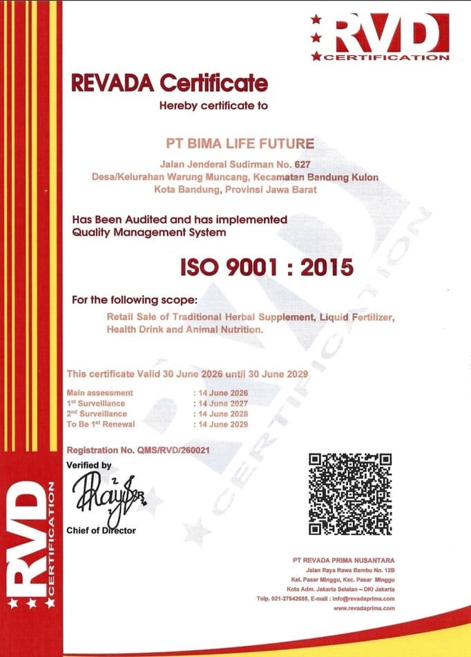 ISO 9001